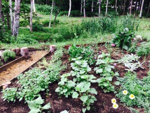 10348611_874983812595045_1886736160699777906_n