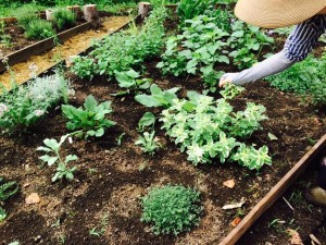 11204418_874983799261713_8901228377012237552_n