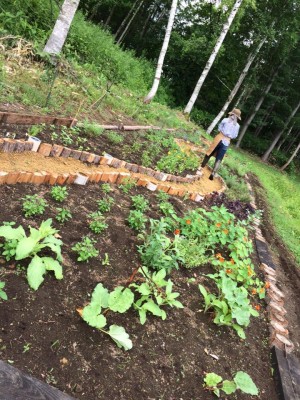 11755670_874983739261719_275151378052446769_n