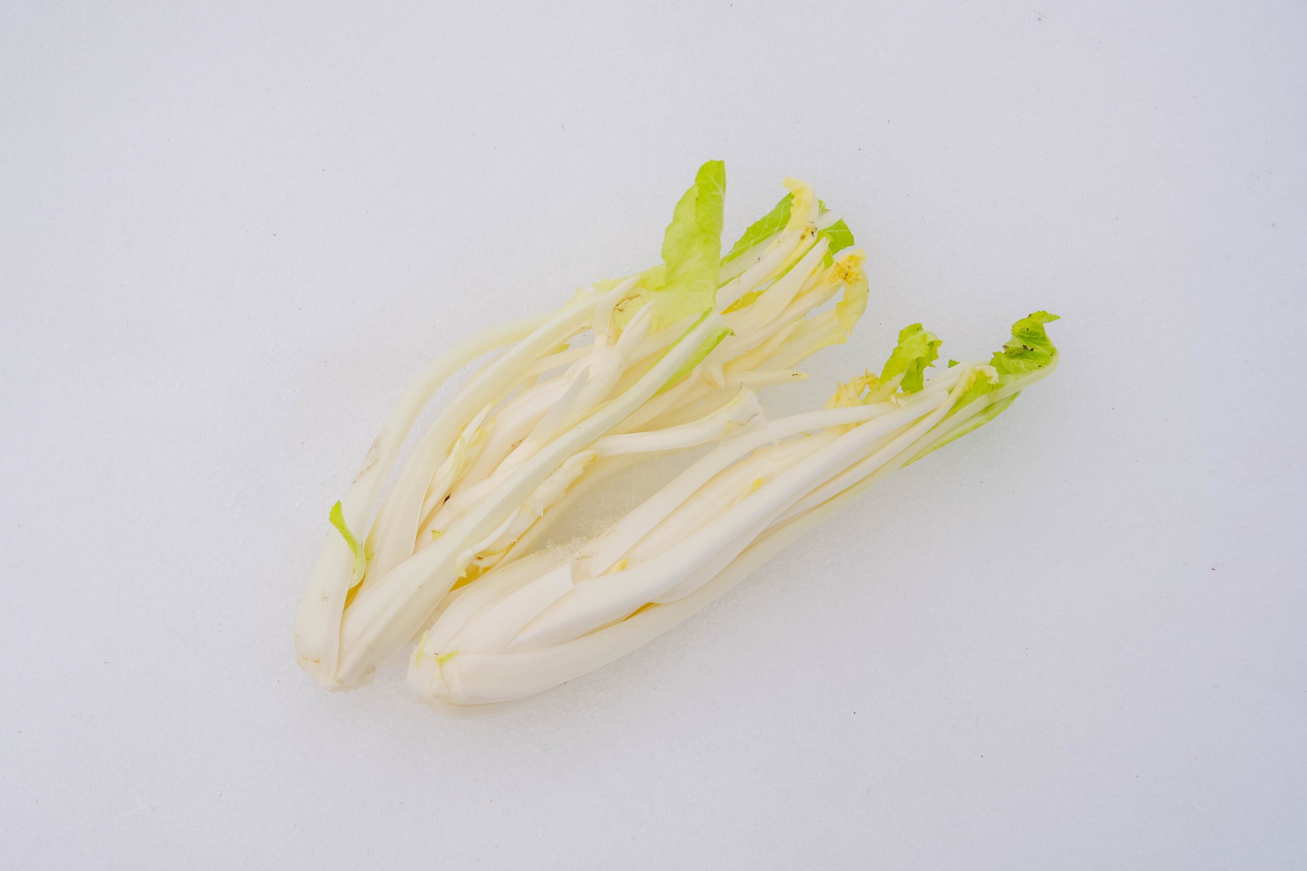 湯通しで辛くなる不思議な伝統野菜 おきたまの「雪菜」＠山形県米沢市